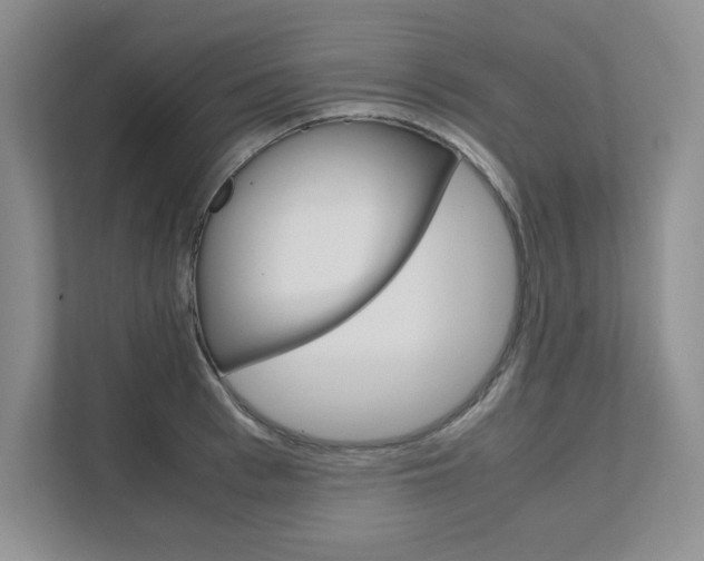 X0000111680993200907171501