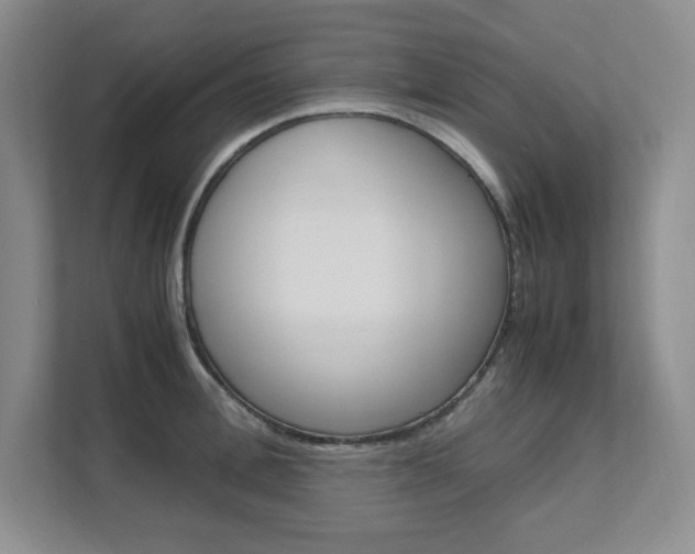 X0000111680996200907171501