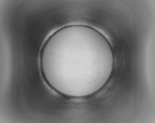 X0000111680998200907171501