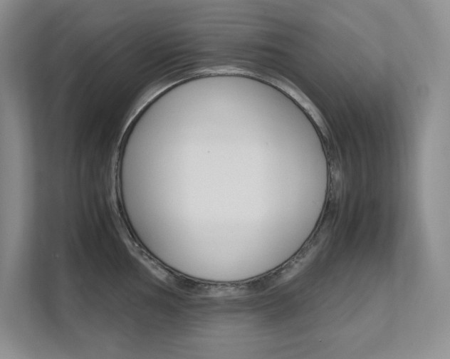 X0000111681002200907171501
