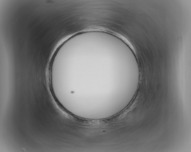 X0000111681003200907171501