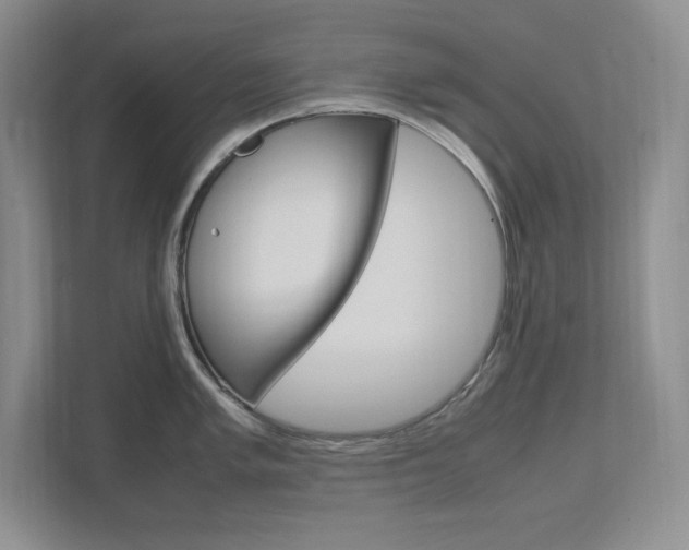 X0000111681005200907171501