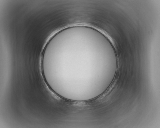 X0000111681006200907171501