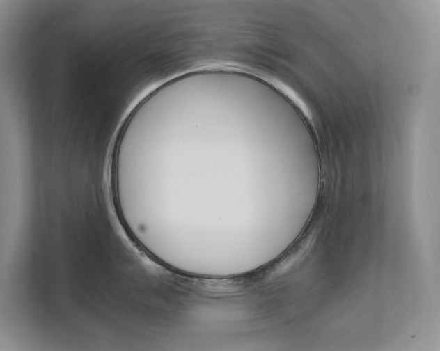 X0000111681007200907171501