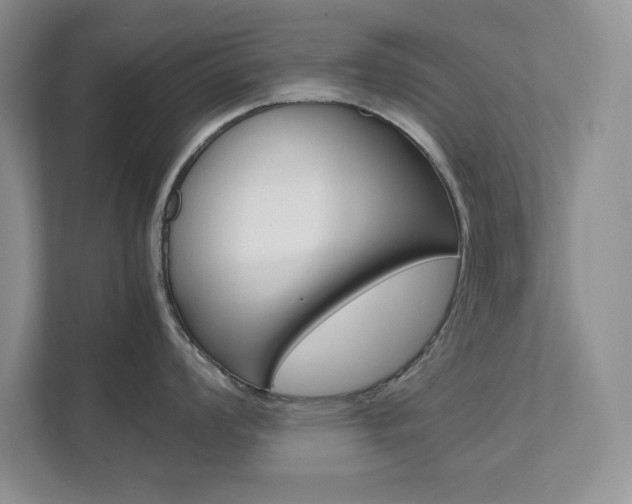 X0000111681008200907171501