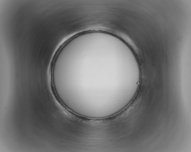 X0000111681032200907171500
