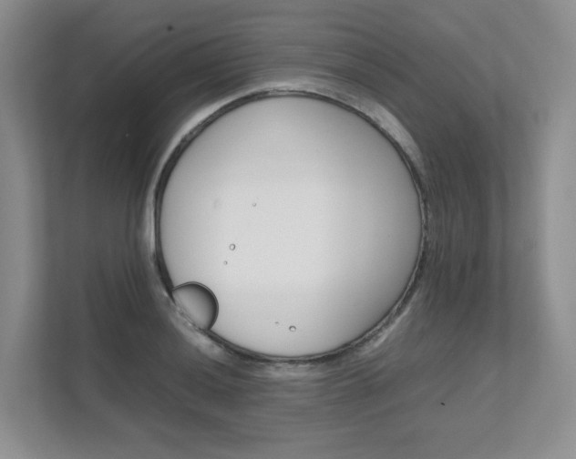 X0000111681036200907171500
