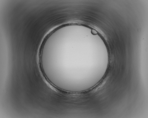 X0000111681037200907171500