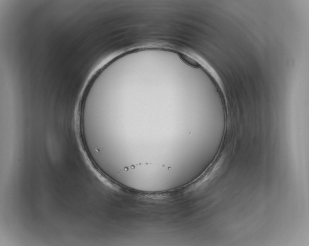 X0000111681053200907171501