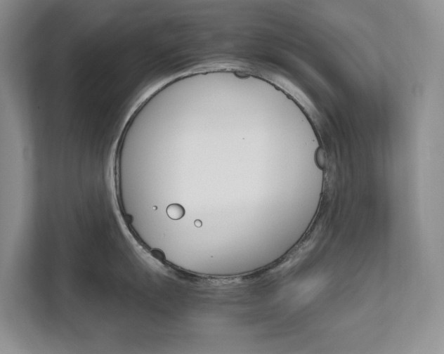 X0000111681055200907171501