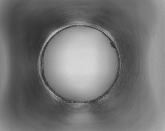 X0000111681056200907171501