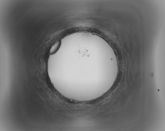 X0000111681061200907171500