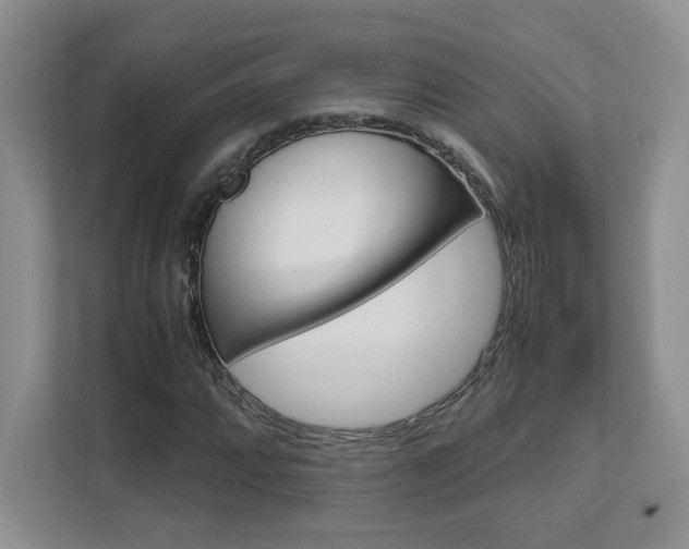 X0000111681064200907171500
