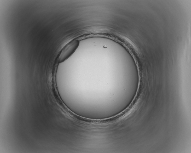 X0000111681065200907171500