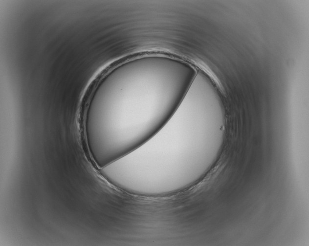 X0000111681068200907171500
