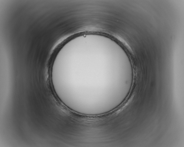 X0000111681070200907171500