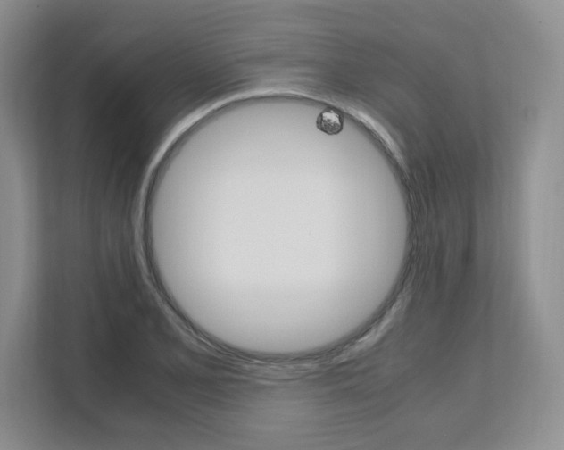 X0000111681077200907171500