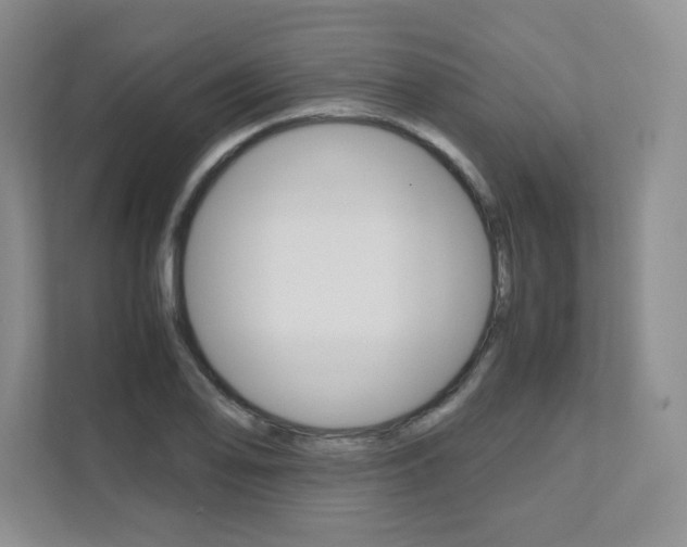 X0000111681078200907171500