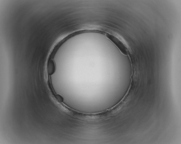 X0000111681080200907171500