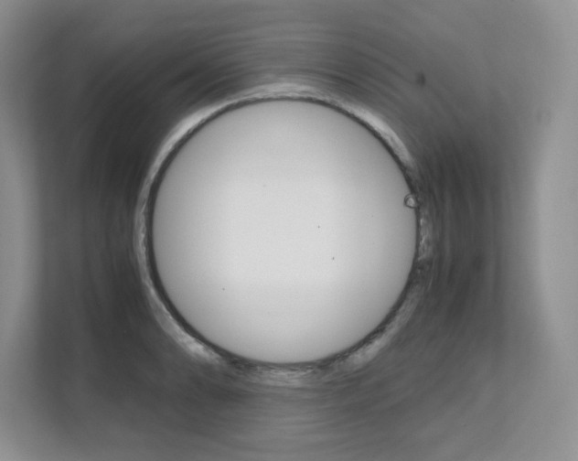 X0000111681086200907171500