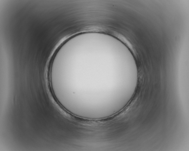 X0000111681091200907171459
