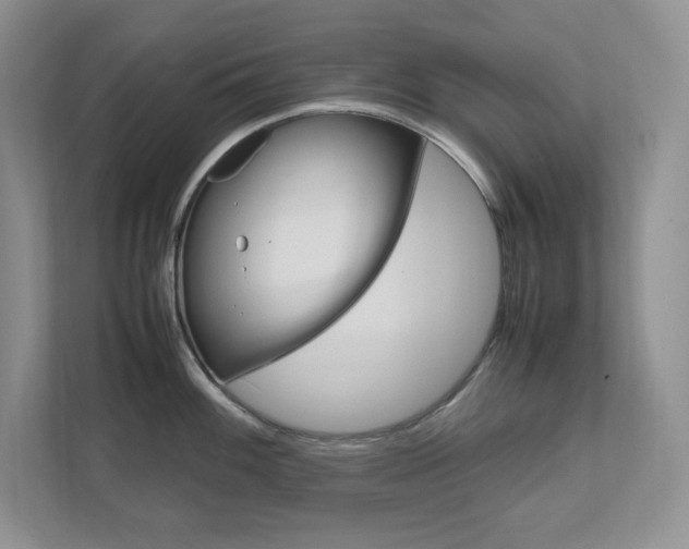 X0000111681100200907171459