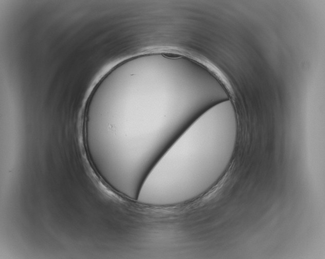 X0000111681102200907171459