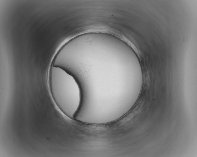 X0000111681103200907171459