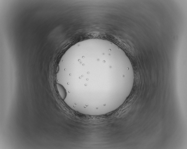 X0000111681105200907171459