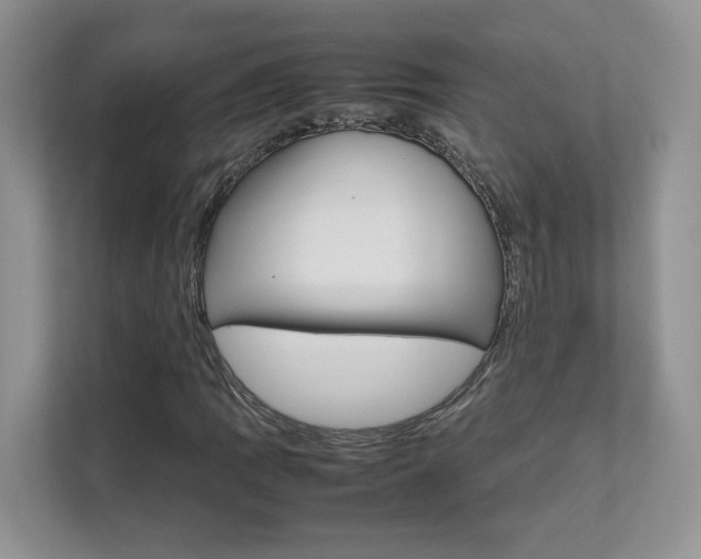 X0000111681109200907171459