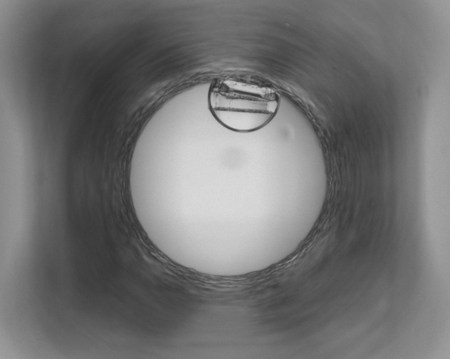 X0000111681110200907171459