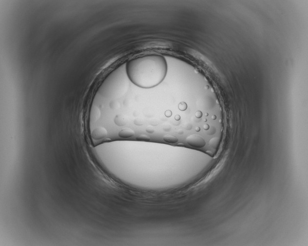 X0000111681113200907171459