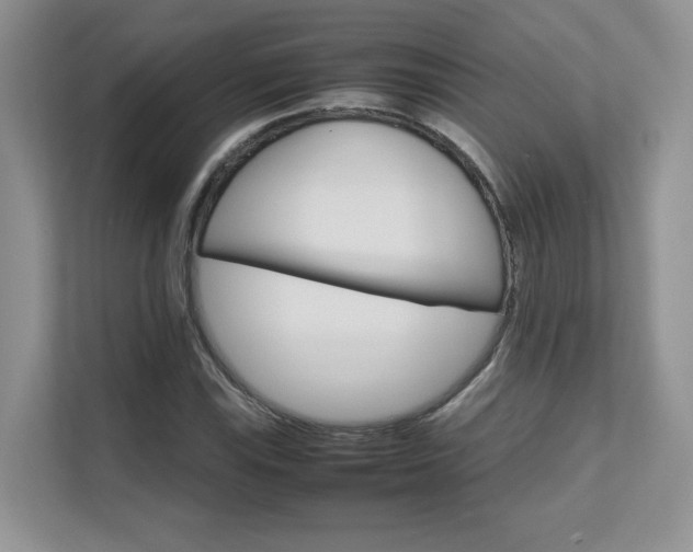 X0000111681115200907171459