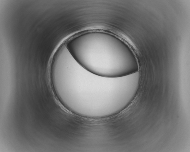 X0000111681116200907171459