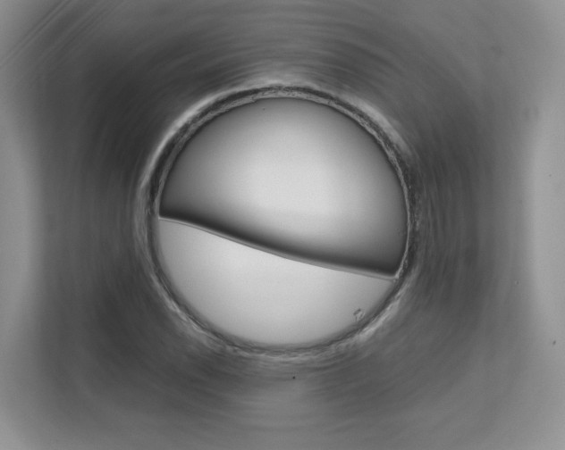 X0000111681118200907171459