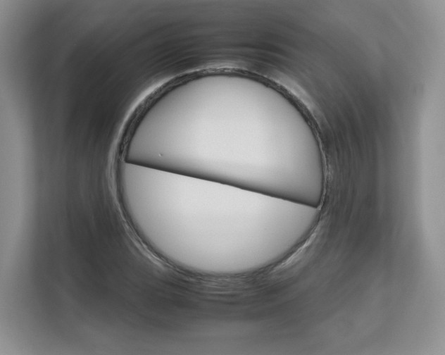 X0000111681119200907171459