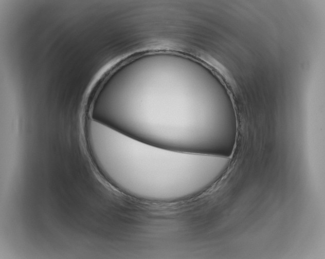 X0000111681120200907171459