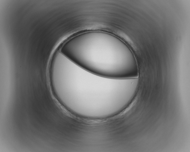 X0000111681122200907171459