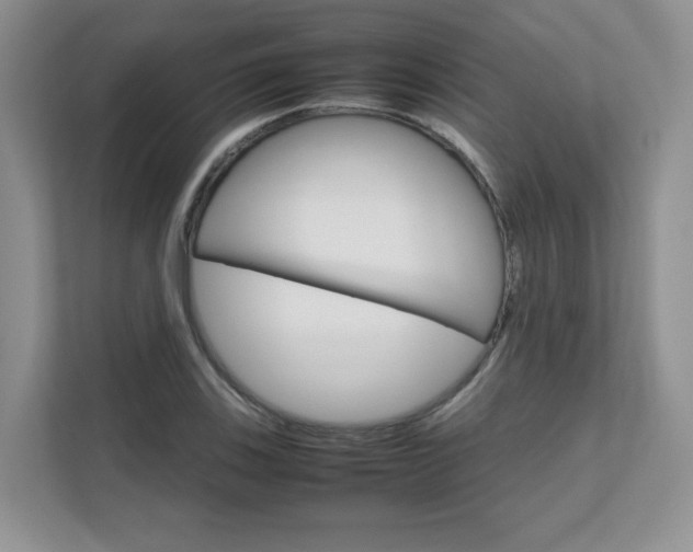 X0000111681123200907171459