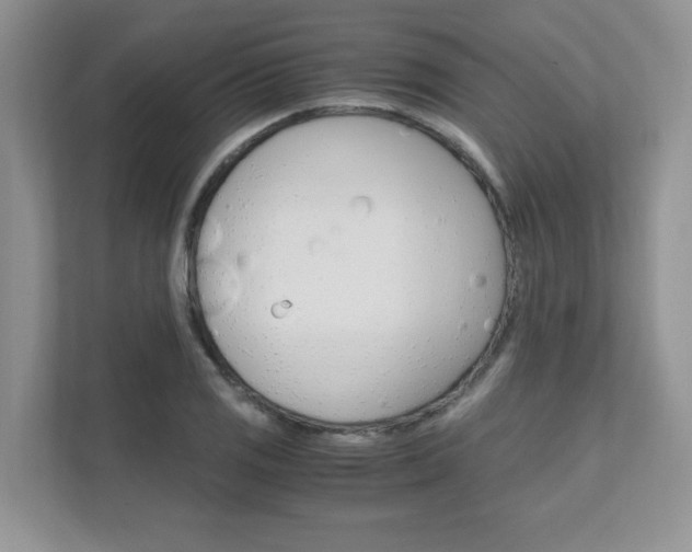 X0000111681125200907171459