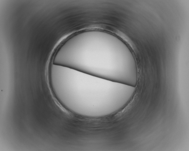 X0000111681127200907171459