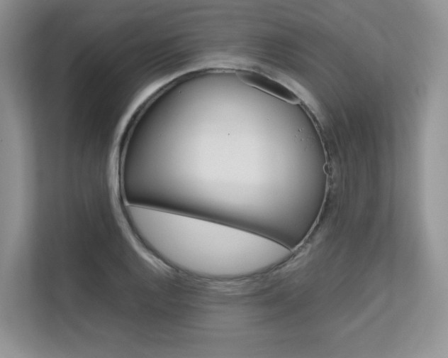 X0000111681128200907171459