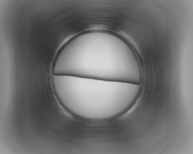 X0000111681129200907171459