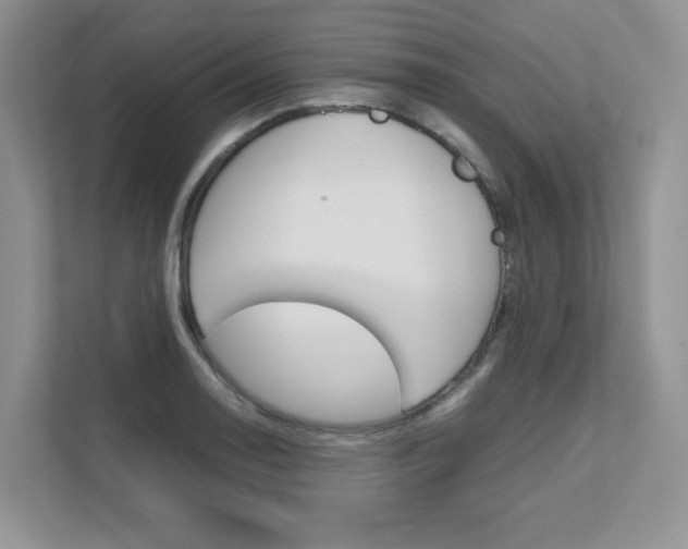 X0000111681130200907171459