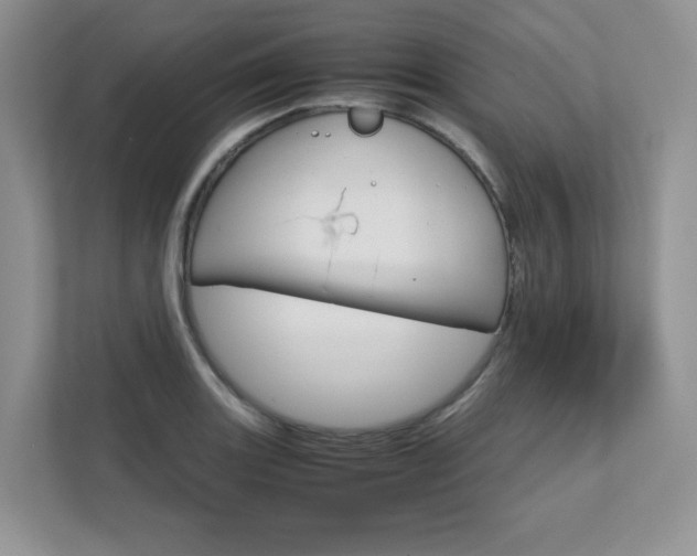 X0000111681131200907171459