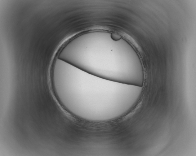 X0000111681133200907171459