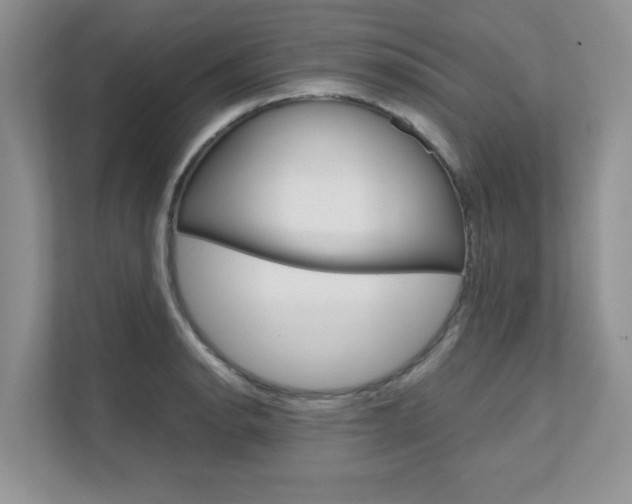 X0000111681134200907171459
