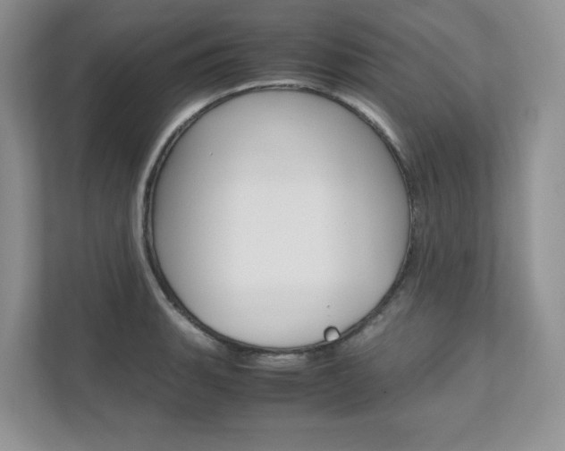 X0000111681135200907171459