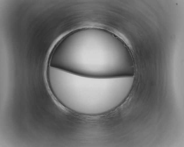 X0000111681136200907171459