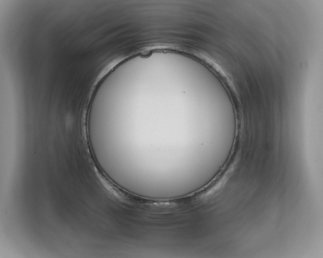 X0000111681137200907171459